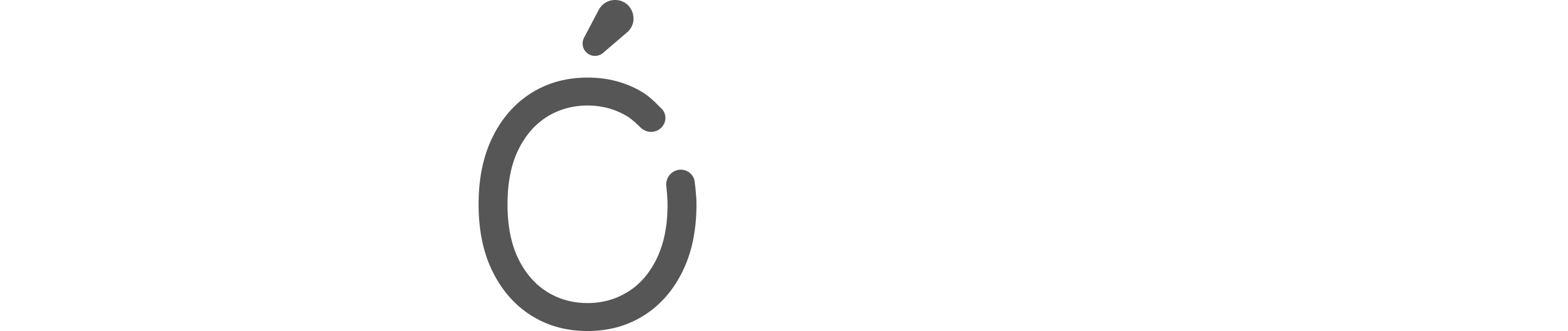 Client Partner